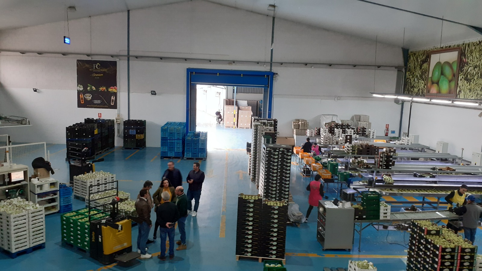 La comercializadora sexitana Frutas ‘Los Cursos’, beneficiarias de las La comercializadora sexitana Frutas ‘Los Cursos’, beneficiarias de las